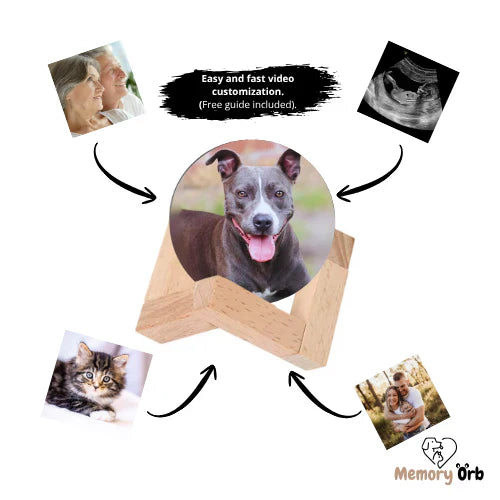 Customizable Video Glass Ball Lamp