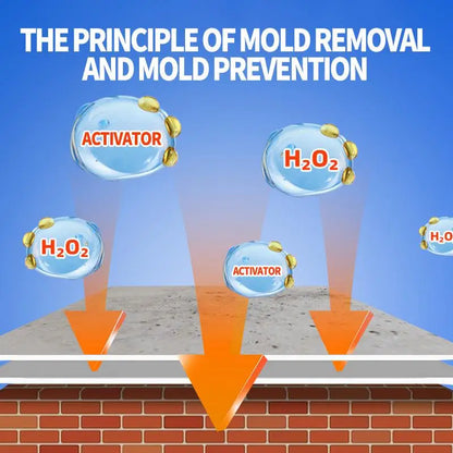 Wall Mold Remover Spray