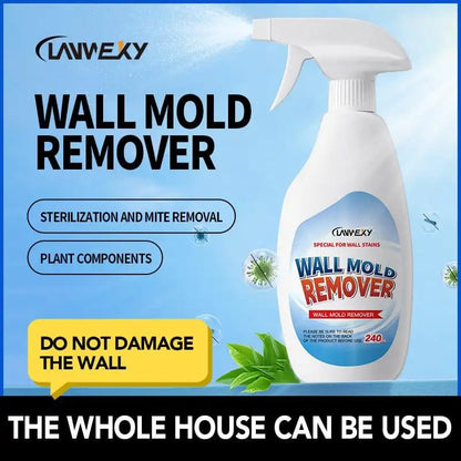 Wall Mold Remover Spray