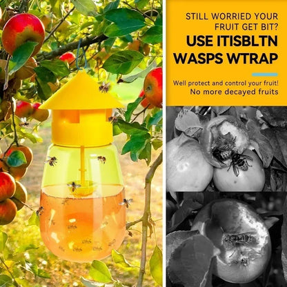 Fruit Fly Trap for Kitchen & Garden Pest Control